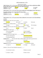 Đề 24 Đề minh họa THPT Tiếng Anh 2021 chuẩn cấu trúc đề minh họa ( có đáp án)