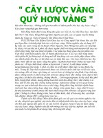 Cay Luoc vang quy hon vang