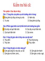 co quan phan tich thi giac