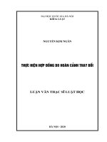 Luận văn Thạc sĩ Luật học: Thực hiện hợp đồng khi hoàn cảnh thay đổi cơ bản