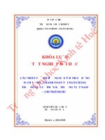 Các nhân tố ảnh hưởng đến ý định sử dụng dịch vụ thẻ thanh toán tại Ngân hàng TMCP Kỹ Thương Chi nhánh Huế