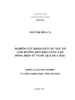 Nghiên cứu khảo sát các yếu tố ảnh hưởng đến khả năng tạo dòng điện từ nước quả dưa hấu 