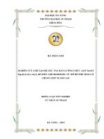 Nghiên cứu chế tạo hệ xúc tác rắn lưỡng chức axit bazơ mg zn la s γ al2o3 để điều chế biodiesel từ mỡ bò phế thải có chỉ số axit tự do cao 