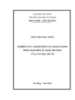 Nghiên cứu ảnh hưởng của hàm lượng phân đạm đến sự sinh trưởng của cây bạc hà âu 