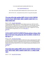 sang kien kinh nghiem mau