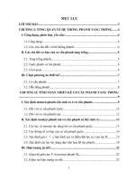 Tính toán thiết kế hệ thống phanh xe tải 3 tấn