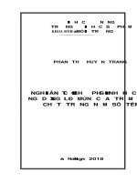 Nghiên cứu tạo chế phẩm sinh học ứng dụng xử lý mùn cưa tràm làm cơ chất trồng nấm sò tím 