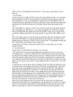 Công nghiệp hoá-hiện đại hoá - Thực trạng và giải pháp ở nước ta hiện nay