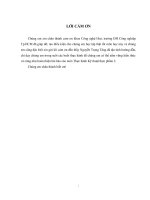 BÀI BÁO CÁO MÔN THỰC HÀNH KỸ THUẬT THỰC PHẨM 2 MẠCH LƯU CHẤT