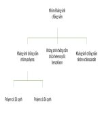 TIỂU LUẬN NHÓM KHÁNG SINH CHỐNG NẤM