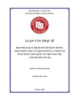 BIỆN PHÁP QUẢN TRỊ RỦI RO TÍN DỤNG TRONG HOẠT ĐỘNG CHO VAY KHÁCH HÀNG CÁ NHÂN TẠI NGÂN HÀNG TMCP QUỐC TẾ VIỆT NAM (VIB) – CHI NHÁNH LÁNG HẠ