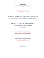 Nghiên cứu tính kháng của quần thể cỏ lồng vực với các loại thuốc sử dụng phổ biến tại thừa thiên huế  