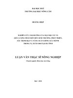 Ảnh hưởng của chất kích thích sinh trưởng naa (naphthaleneacetic acid) và diện tích lá mẹ đến tỷ lệ sống và khả năng sinh trưởng phát triển cây chè con (camellia sinensis) an bằng ở vườn ươm  