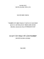 Nghiên cứu hiện trạng và đề xuất giải pháp quản lý, kỹ thuật gây trồng bời lời đỏ (machilus odoratissima nees) ở tỉnh kon tum  