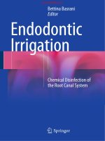 Endodontic Irrigation  Chemical Disinfection of the Root Canal System  Bettina Basrani
