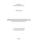 Nghiên cứu hiện trạng và đề xuất giải pháp quản lý, kỹ thuật trồng rừng loài bời lời đỏ (machilus odoratissima nees) ở huyện hướng hóa, tỉnh quảng trị   