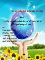 Trình bày và so sánh ưu nhược điểm của 5 chỉ số đánh giá chất lượng môi trường nước ngầm