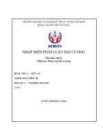 TIỂU LUẬN CUỐI KỲ MÔN GIÁO DỤC ĐẠI CƯƠNG THỰC TRẠNG ÁP DỤNG CÁC QUY ĐỊNH VỀ TRÁCH NHIỆM PHÁP LÝ