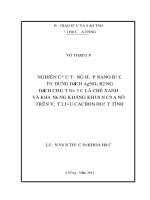 Nghiên cứu tổng hợp nano bạc từ dung dịch AgNO3 bằng dịch chiết nước lá chè xanh và khả năng kháng khuẩn của nó trên vật liệu cacbon hoạt tính 