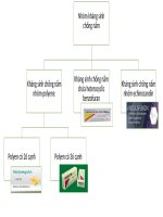 TIỂU LUẬN HÓA DƯỢC 2