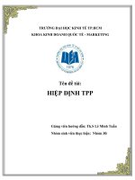 TIỂU LUẬN đề tài HIỆP ĐỊNH TPP