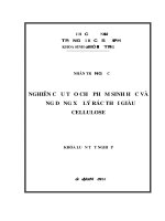Nghiên cứu tạo chế phẩm sinh học và ứng dụng xử lý rác thải giàu cellulose 