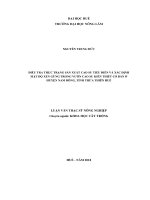 Điều tra thực trạng sản xuất cao su tiểu điền và xác định mật độ xen gừng trong vườn cao su kiến thiết cơ bản ở huyện nam đông, tỉnh thừa thiên huế  