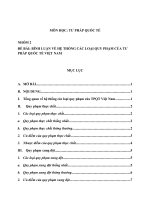 BÌNH LUẬN VỀ HỆ THỐNG CÁC LOẠI QUY PHẠM CỦA TƯ PHÁP QUỐC TẾ VIỆT NAM