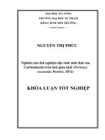 Nghiên cứu thử nghiệm độc tính sinh thái của carbendazim trên loài giun quế perionyx excavatus perrier 1872 