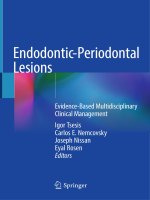 Endodontic Periodontal Lesions  EvidenceBased Multidisciplinary Clinical Management