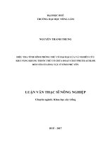 Điều tra tình hình phòng trừ cỏ dại hại lúa và nghiên cứu khả năng kháng thuốc trừ cỏ chứa hoạt chất pretilachlor đối với cỏ lồng vực ở tỉnh phú yên 