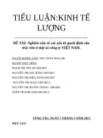TIỂU LUẬN:KINH TẾLƯỢNG Nghiên cứu về các yếu tố quyết định cấutrúc vốn ở một số công ty VIỆT NAM