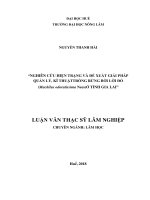 Nghiên cứu thực trạng và đề xuất giải pháp quản lý, kỹ thuật trồng rừng bời lời đỏ (machilus odoratissima nees) ở tỉnh gia lai  