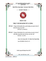 Báo cáo Kinh tế lượng FTU Lập mô hình phân tích sự ảnh hưởng của một số yếu tố đến điểm trung bình môn tích lũy của sinh viên cô Đinh Thị Thanh Bình