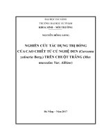 Nghiên cứu tác dụng trị bỏng của cao chiết từ củ nghê đen curcuma zedoaria berg trên chuôṭ nhắt mus musculus var albino 