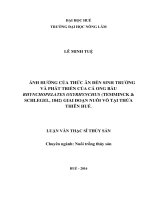 Ảnh hưởng của thức ăn đến sinh trưởng và phát triển của cá ong bầu rhynchopelates oxyrhynchus (temminck  schlegel, 1842) giai đoạn nuôi vỗ tại thừa thiên huế  