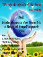 Trình bày và so sánh ưu nhược điểm của 5 chỉ số đánh giá chất lượng môi trường nước ngầm