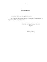 Nghiên cứu một số thông số chính làm cơ sở thiết kế máy làm sạch và phân loại thóc phù hợp với quy mô hộ sản xuất lúa ở miền trung, năng suất 1 tấngiờ 