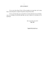 Đánh giá tác động của quá trình đô thị hóa đến cơ cấu sử dụng đất tại huyện hòa vang, thành phố đà nẵng 