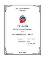 TIỂU LUẬN CÔNG TÁC NGOẠI GIAO VĂN HÓA VIỆT NAM