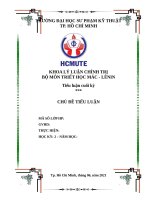 HÀNG HÓA SỨC LAO ĐỘNG