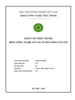 Báo cáo thực hành môn công nghệ sản xuất đồ uống có cồn 