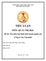 TIỂU LUẬN QUẢN TRỊ HỌC Tìm hiểu loại hình kinh doanh ngành sữa (Công ty sữa Vinamilk)
