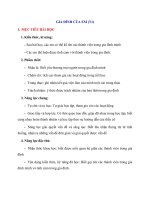 Giáo án môn tự nhiên xã hội lớp 1 sách chân trời sáng tạo