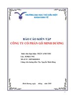 Tiểu Luận Báo Cáo Kiến Tập Cty Gỗ