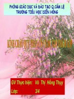 chu vi hinh chu nhat lop 3