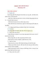 Giáo án môn mỹ thuật lớp 1 sách chân trời sáng tạo cả năm