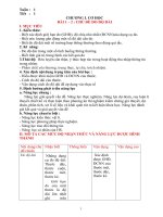 Giao An ca nam KHTN ket noi tri thuc