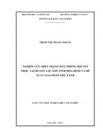 Luận văn thạc sĩ nghiên cứu hiện trạng đất trống đồi núi trọc tại huyện lạc sơn tỉnh hòa bình và đề xuất giải pháp phủ xanh​ 