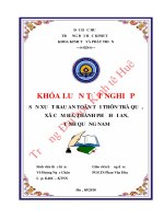 Sản xuất rau an toàn tại thôn trà quế xã cẩm hà thành phố hội an tỉnh quảng nam 